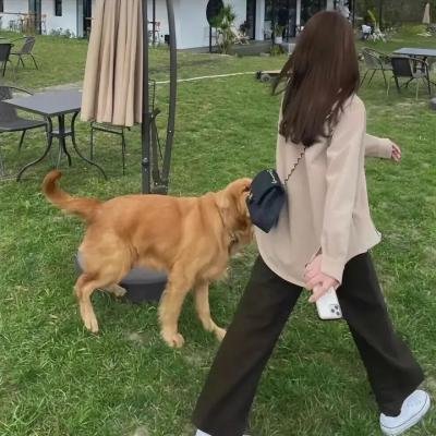 龙潭虎穴