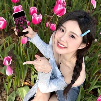 老虎连